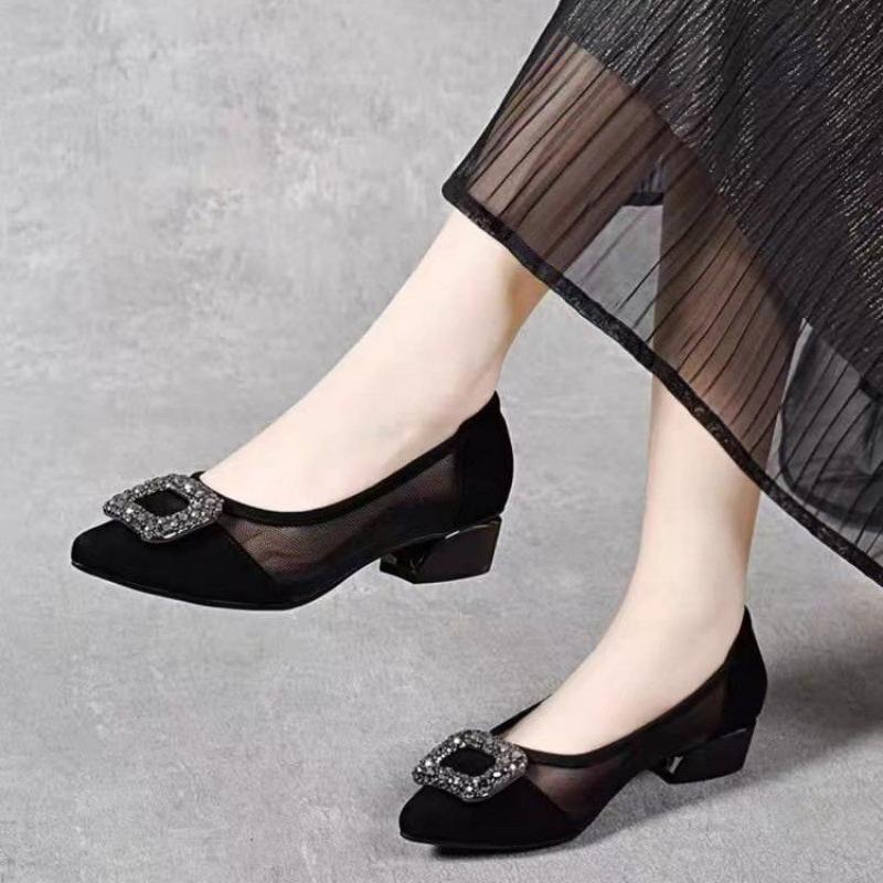 Elegant Pointed Toe Mesh Block - Women'S Work Fashion review and price